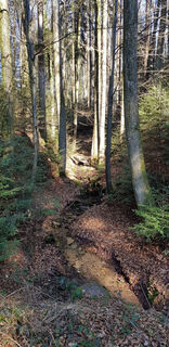 Fitnessrunde Mutlangen 1