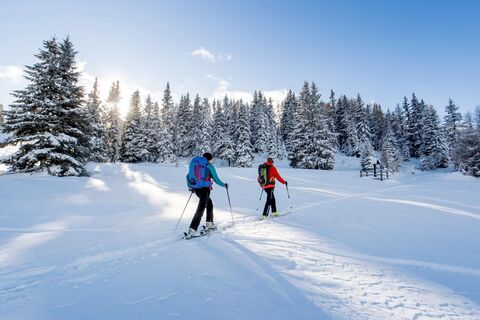 Skitour