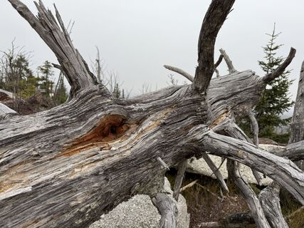 Photo de Dani Geiger / Natur_erleben_dg le long du parcours