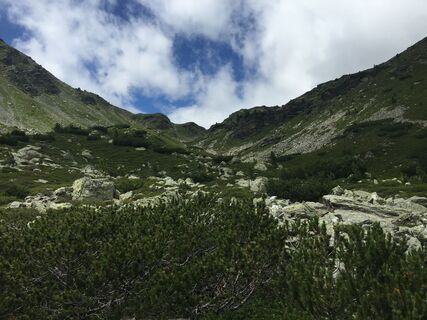 Anstieg zur Pfannscharte