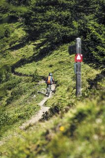 Mountainbiker beim Aufstieg auf den Pisten der Haute Maurienne Vanoise