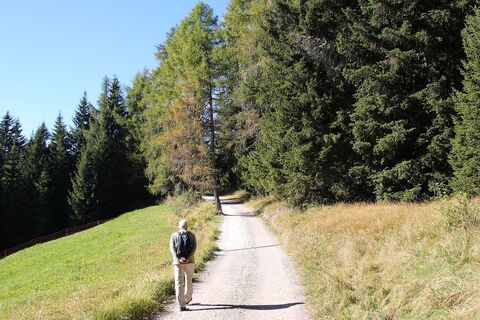 Wanderweg vom Sambergerhof zur Gasserhütte