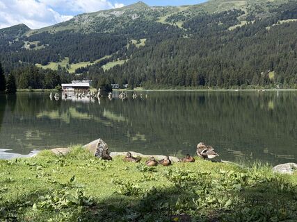 Photo de littledreamfairy le long du parcours