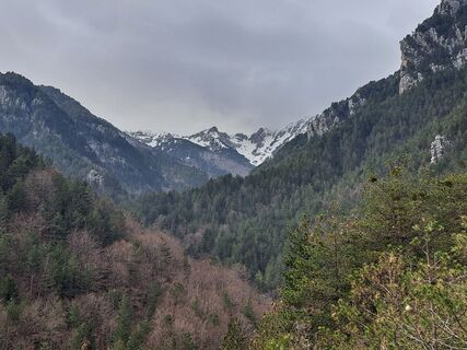 Fotografie z Sandra Stemplinger na trase