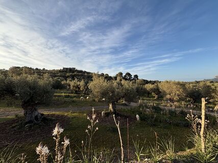Fotografija s spletne strani dergleichen na poti
