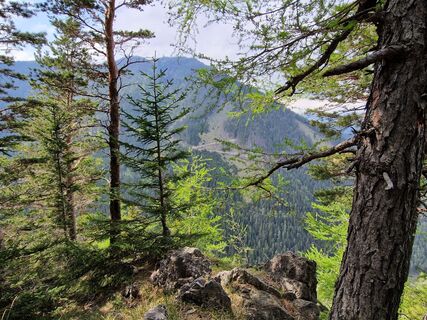 Fotografie de la Anne-Fleur Guitton de-a lungul turului