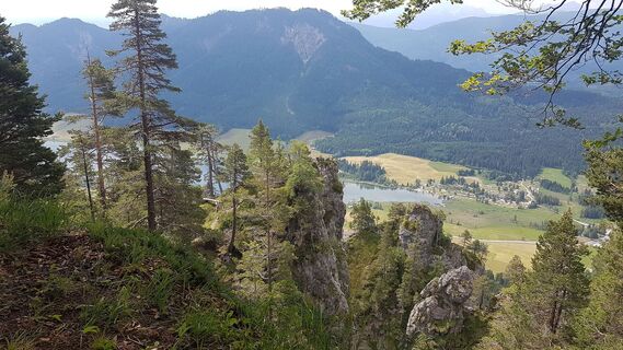 Weisse Wand und gegenüber Hühnernock