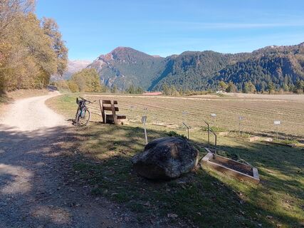 Photo de Jean-Pierre Sion le long du parcours