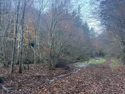 Fotografia z Firma Pool1 Hackl Roman na trase