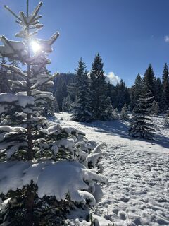Foto von Heikoala entlang der Tour