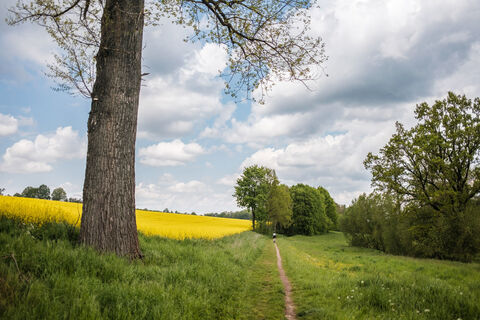 Unterwegs auf naturbelassenen Wegen - hier bei Mauna