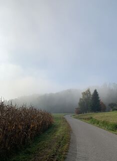 Foto von Melanie Hörzer entlang der Tour