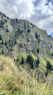 Foto von Fabian Amtmann entlang der Tour