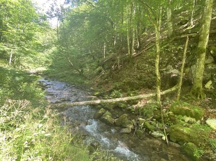 Photo de Friedrich Schlager le long du parcours