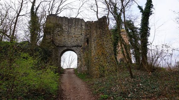 Burgruine Kalsmunt