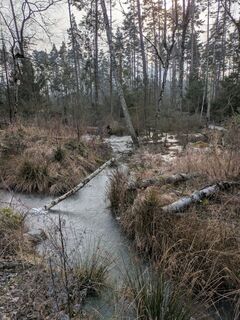 Photo de Hell-mood le long du parcours