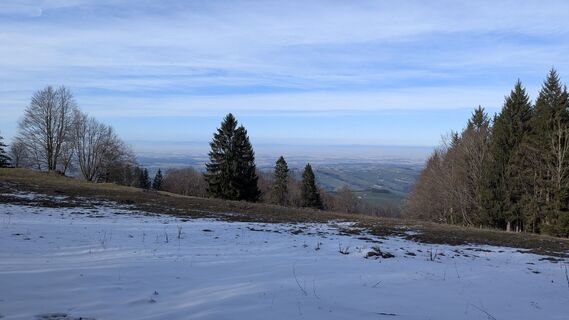 Zdjęcie z W.K. wzdłuż trasy