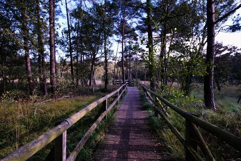 Hiddeser Bent