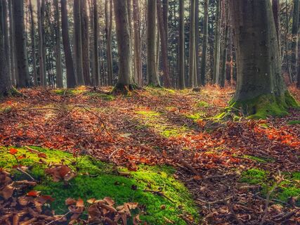 Foto von Leo Fahrngruber entlang der Tour
