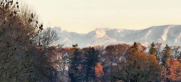 Foto von Roswitha Polz entlang der Tour