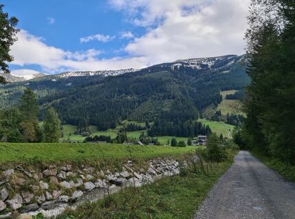 Foto von Nor Reiter entlang der Tour