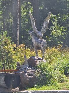 Fotografija s spletne strani Damir Habuš na poti