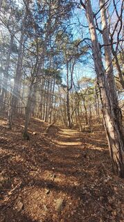 Foto von Regina Fleischmann entlang der Tour