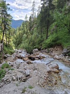 Photo de Michael Putz le long du parcours