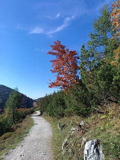 Foto von Edith K. entlang der Tour