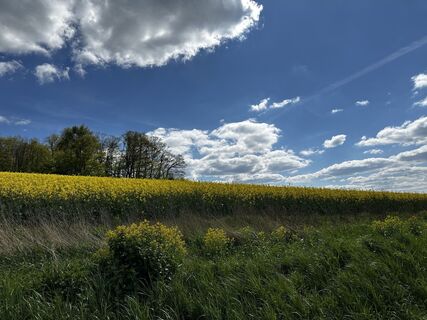Foto von Frank Thies entlang der Tour