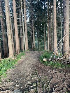 Fotografia z Thomas Higler na trase