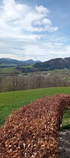 Foto från heli krempler under resans gång