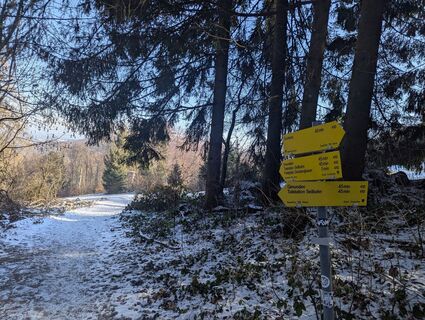 Fotografia z H&M na trase