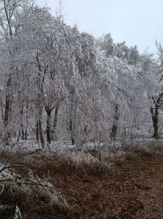 Photo de János Németh le long du parcours