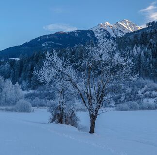 Wintermomente, die bleiben
