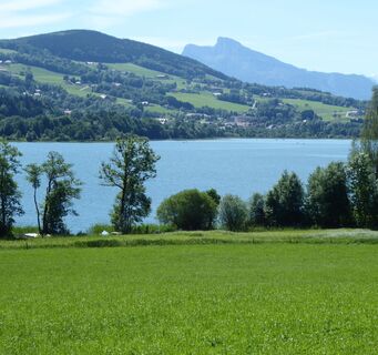 Der Irrsee