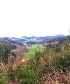 Blick vom Krusenberg