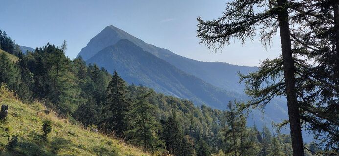 Photo de Stane Korošec le long du parcours