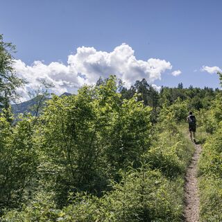 Das Bild zeigt einen schmalen Wanderweg, der sich durch dichtes, grünes Gebüsch schlängelt. Eine einzelne Person geht dem Weg entlang, während am Horizont wolkenverhangene Berge unter einem strahlend blauen Himmel zu sehen sind.