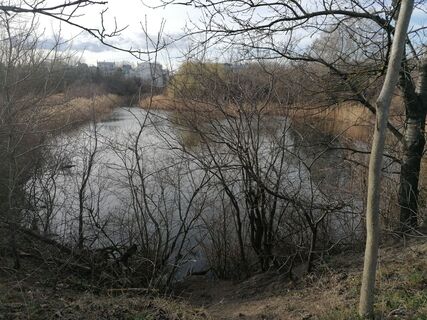 Foto de Dragoljub Ilic a lo largo del recorrido
