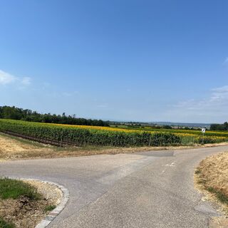 Weinriedenweg