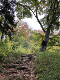 Fotografia z Meinrad Föger na trase