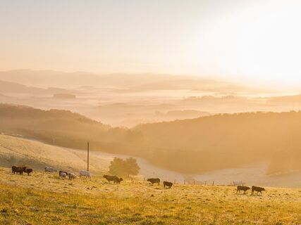 Blick auf die Ferienregion Eslohe
