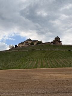 Foto de Erma a lo largo del recorrido