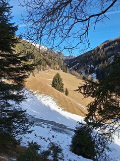 Foto von Dagmar Hofer entlang der Tour