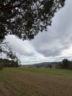 Photo from RS76 along the tour