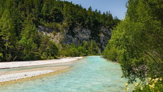 Wanderung zur Scharnitzer Alm - Isar mit Blumen im Vordergrund - Hochformat.jpg