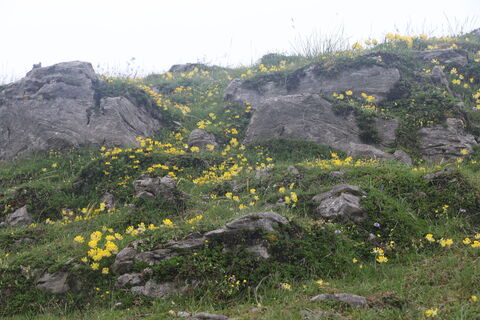 Fotografie z Andrew clarke na trase