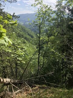 Photo de Calvin Trosien le long du parcours