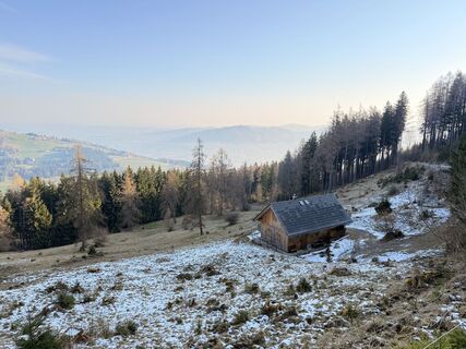 Foto von Natur_erleben_dg entlang der Tour
